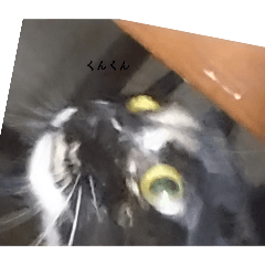 [LINEスタンプ] あいまりべるさますたんぷ