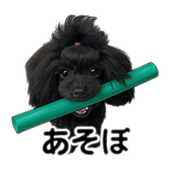 [LINEスタンプ] 可愛いこんこん