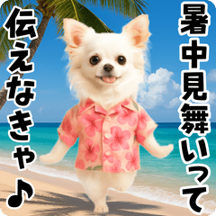 [LINEスタンプ] 夏の♡エッホエッホ♪アロハチワワ