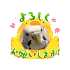 [LINEスタンプ] ぴーちゃんふぉーえばー2 