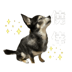 [LINEスタンプ] ゴソゴソじぇるちゃん 
