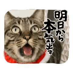 [LINEスタンプ] ハッピー＆ラッキー ⑥