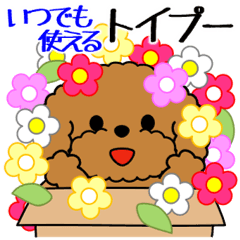 [LINEスタンプ] 飛び出す！いつでも使えるトイプー