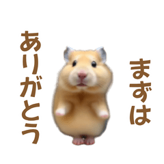 [LINEスタンプ] ハムスターが踊ります