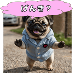 [LINEスタンプ] パグの激しい感情表現スタンプ！