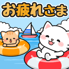 [LINEスタンプ] 毎年使える♪夏の日常 #にゃあすけ