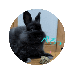 [LINEスタンプ] うさぎの月夜① fetchpriority=high