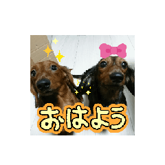 [LINEスタンプ] まろんの日常vol.3 fetchpriority=high