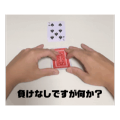 [LINEスタンプ] 動く！バカラスタンプ① 