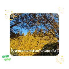 [LINEスタンプ] レッツフライ大冒険日常挨拶バンコク