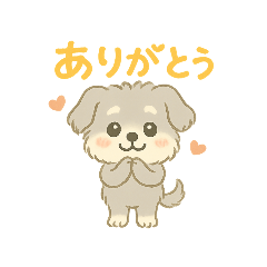 [LINEスタンプ] ぽわぽわシュナまる