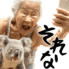 [LINEスタンプ] コアラとばばぁ  (毎日便利に使える返信)