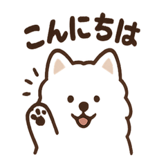 [LINEスタンプ] ふわふわサモエドの毎日スタンプ