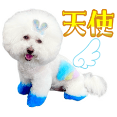 [LINEスタンプ] ビションフリーゼベンツくん14