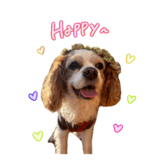 [LINEスタンプ] ミックスこまめちくわ