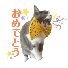 [LINEスタンプ] ねこすたんぷ_cat fetchpriority=high