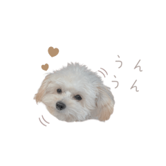 [LINEスタンプ] むぎ◡̈