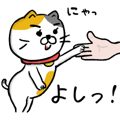 [LINEスタンプ] 飼い猫ですから