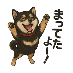 [LINEスタンプ] 黒柴ココスタンプ2