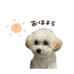 [LINEスタンプ] テアちゃん♡スタンダード