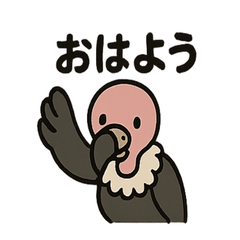 [LINEスタンプ] かわいいシュールなハゲタカの毎日