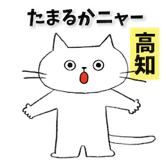 [LINEスタンプ] ニャー⭐︎土佐弁ねこ
