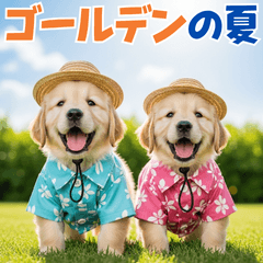 [LINEスタンプ] ゴールデンの夏