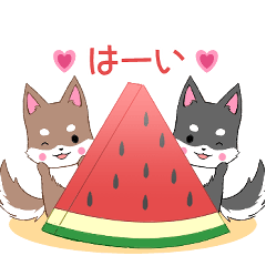 [LINEスタンプ] ちびハスキー16【夏】