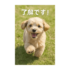 [LINEスタンプ] mix dog チワプー