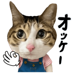 [LINEスタンプ] みじかちゃん達スタンプ