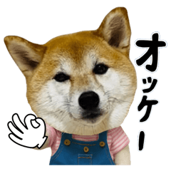 [LINEスタンプ] デビルちゃん達スタンプ