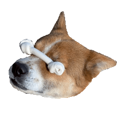 [LINEスタンプ] 犬大切