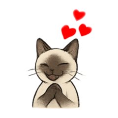 [LINEスタンプ] 方言シャム猫 房州弁・千葉弁