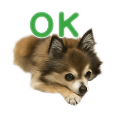[LINEスタンプ] ミミンヌですが？