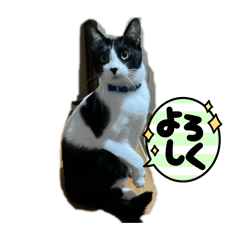 [LINEスタンプ] ハナクロニノヨシタケ
