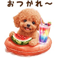 [LINEスタンプ] 浮き輪でぷかぷかトイプードル