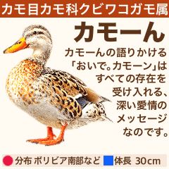 [LINEスタンプ] 架空鳥空の生き物図鑑