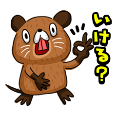 [LINEスタンプ] 関西弁のヌートリアのヌーやん