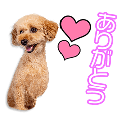 [LINEスタンプ] 早瀬家のびすけちゃん