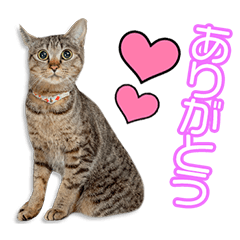 [LINEスタンプ] 下釜家の露ちゃん