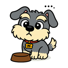 [LINEスタンプ] シュナウザーの日常.“無言”ver.