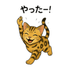 [LINEスタンプ] ベンガル猫 文字無しあり 日本語 