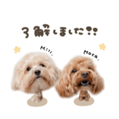 [LINEスタンプ] モカくん☆ミルくんdeformation