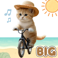 [LINEスタンプ] 麦わら帽ネコ 気軽に使える夏の思いやりBIG