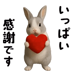 [LINEスタンプ] 動く！灰色ウサギ
