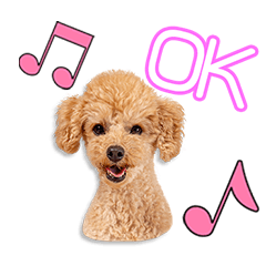 [LINEスタンプ] 堀部家のモルちゃん