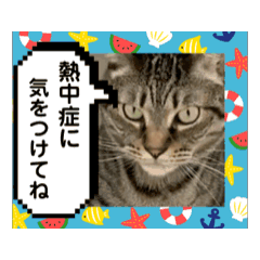 [LINEスタンプ] ハッピー＆ラッキー ⑦