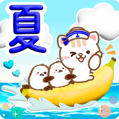 [LINEスタンプ] 3D入り！大人のためのねこ夏の気遣い