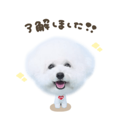 [LINEスタンプ] ひまちゃん.deformation