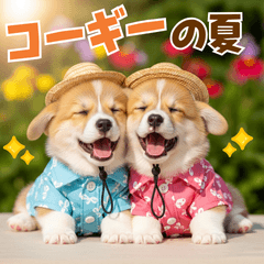 [LINEスタンプ] コーギーの夏！！